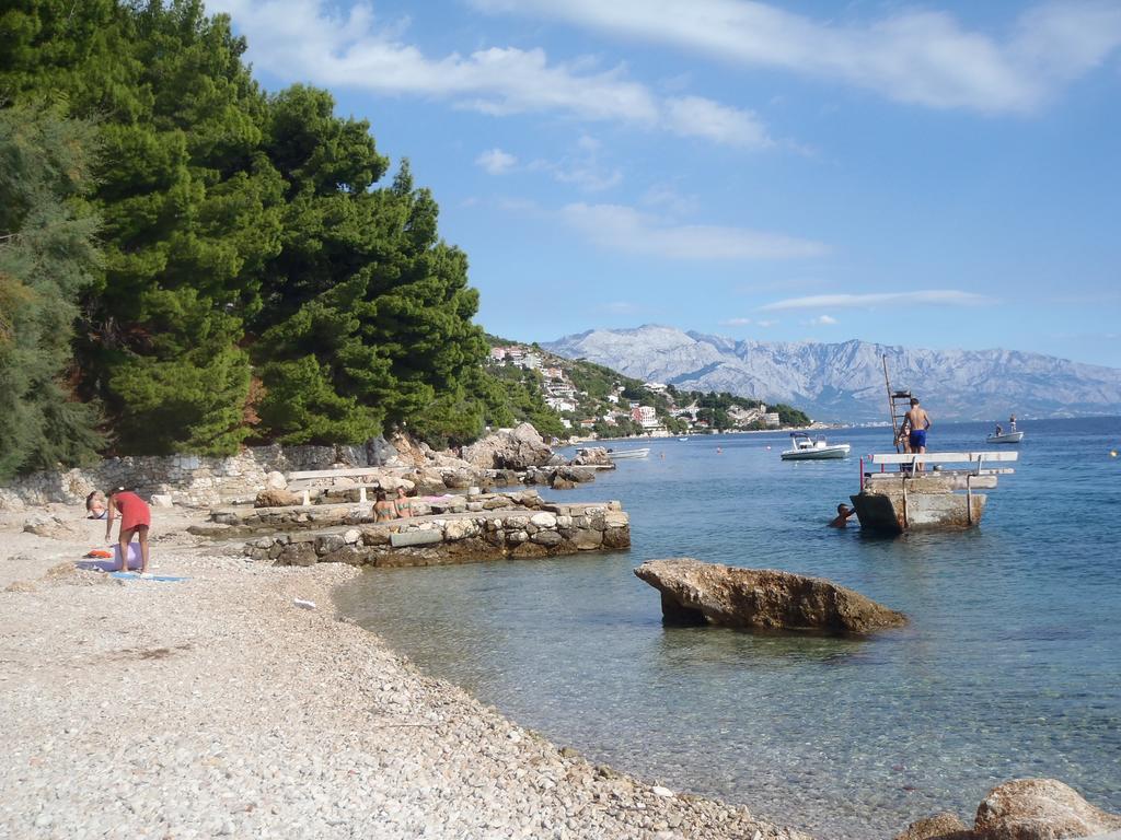 Apartmán Stari Koko
