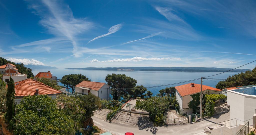 Stari Koko
